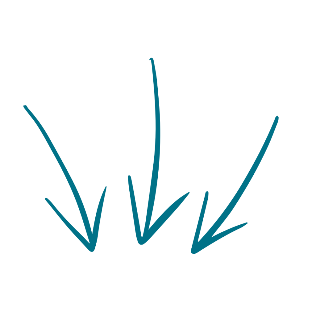 KiPäd Bildungsakademie Angebot 3 Pfeile