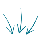 KiPäd Bildungsakademie Angebot 3 Pfeile