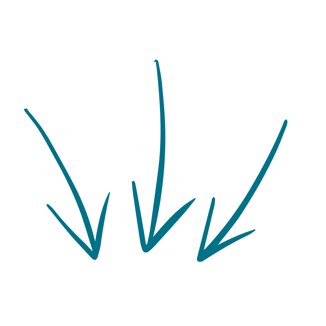 KiPäd Bildungsakademie Angebot 3 Pfeile